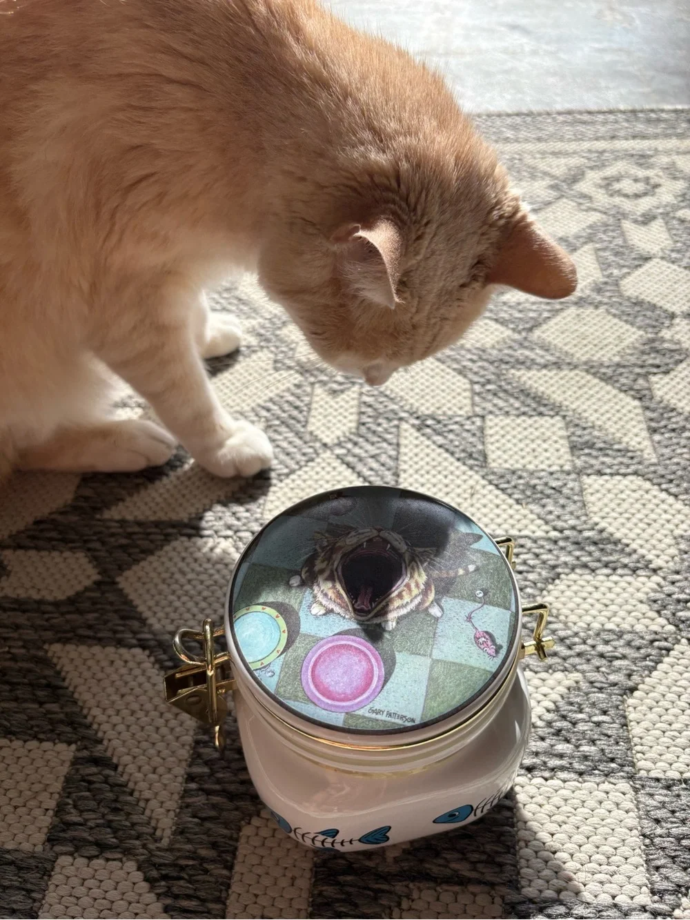 Cat Treat Container Gary Patterson - Pink & Teal Illustration